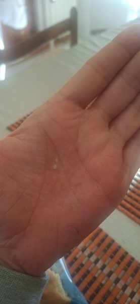 Image #2 from Erika F.